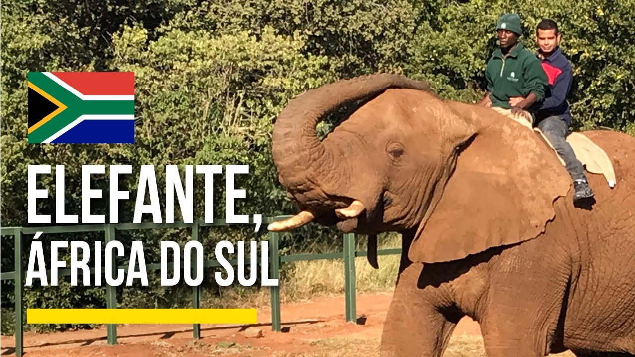 Santuário do elefante, África do Sul