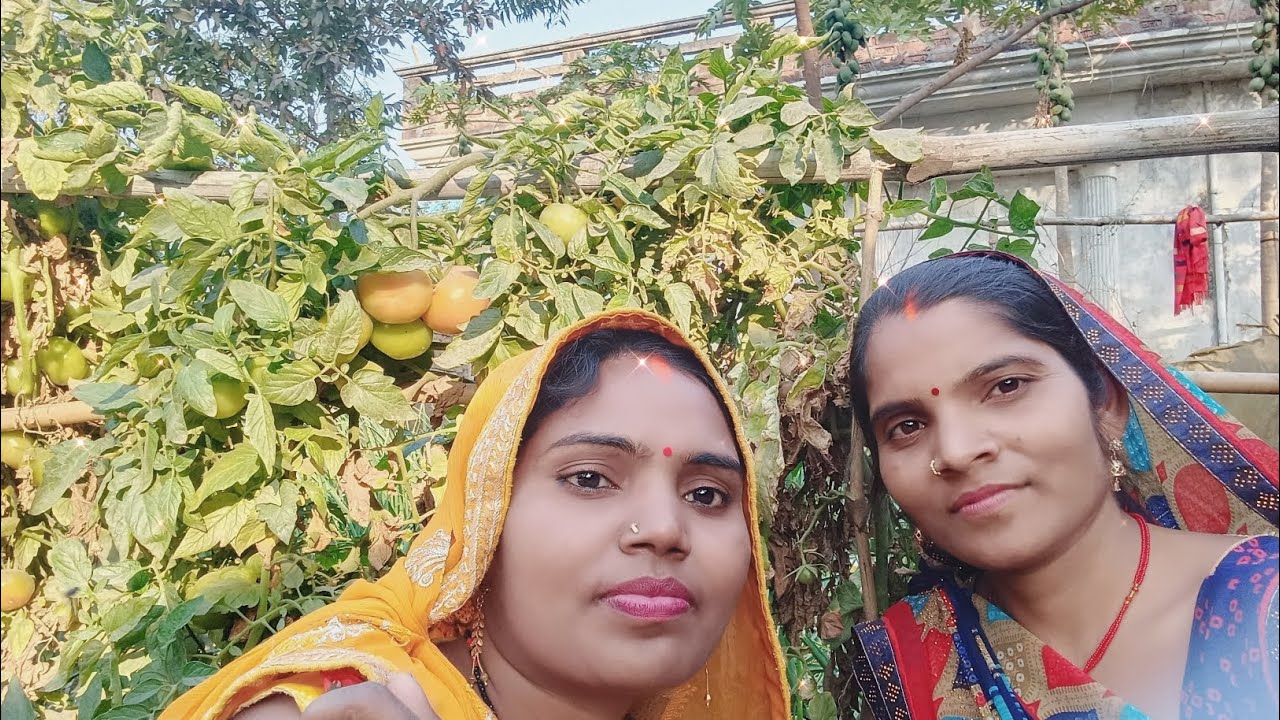प्यारा सा ब्लॉग वीडियो आप एक बार जरूर देखिए 🥀🌹🌹🌺🌺