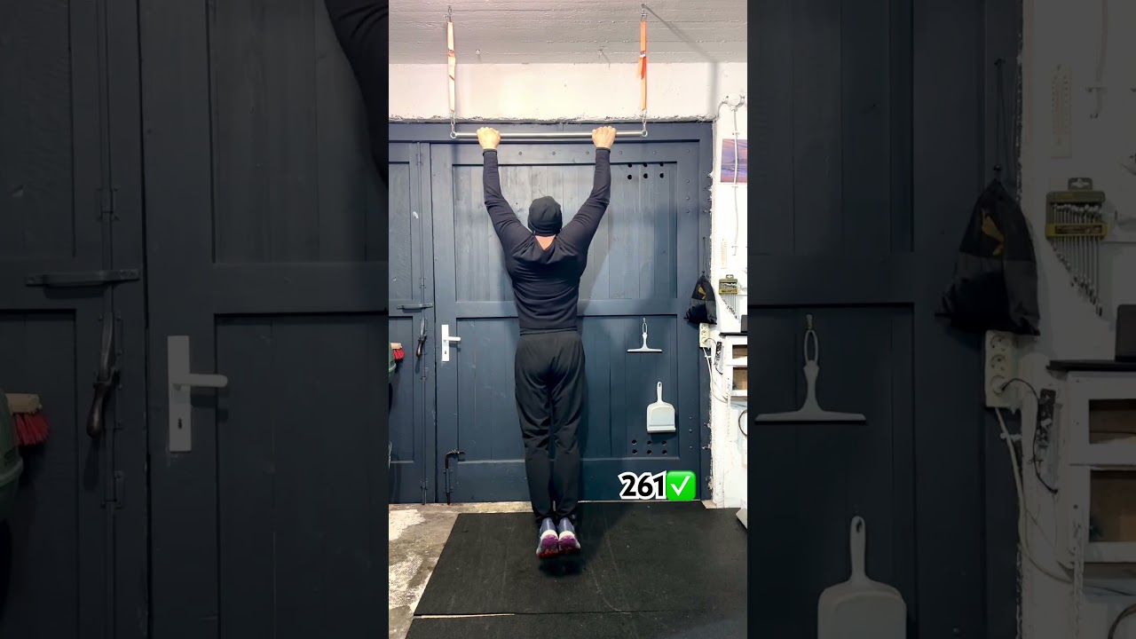 День 00261 | подтягивания каждый день | day 00261 | pull ups every day | Klimmz&uuml;ge jeden Tag