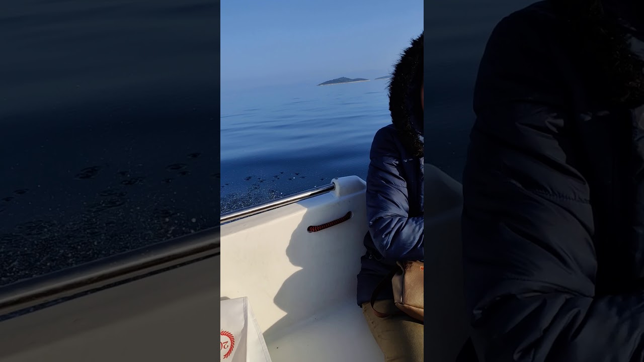 PANS MARİNE N450 POLİETİLEN TEKNE HIZ TESTİ..20 HP 4 ZAMANLI MERCURY MOTOR İLE