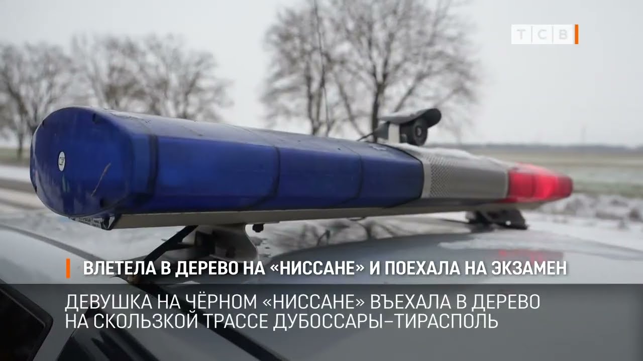 Влетела в дерево на «Ниссане» и поехала на экзамен
