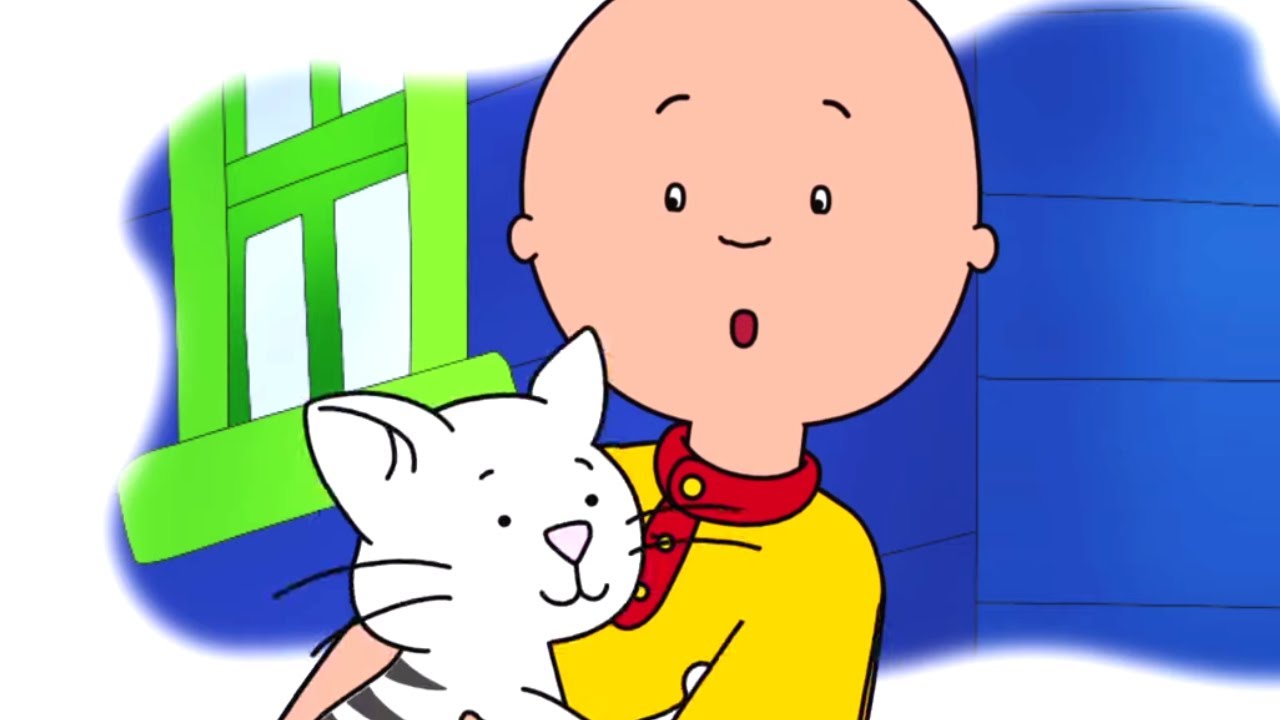 Caillou Finds a Cat | Caillou Cartoon