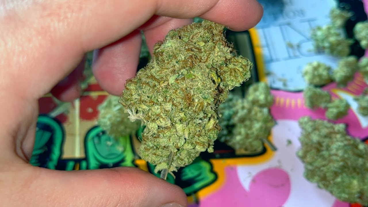 Runtz Muffin Strain Review