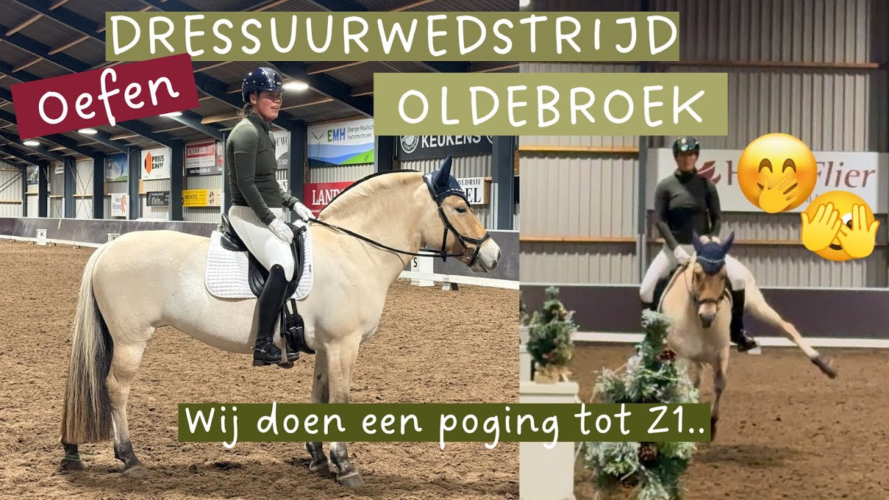Eerste Z1 poging met Onirah op oefenwedstrijd! 🤩 Ze bokte wel 🤭Proefbespreking 38+39 klasse Z1