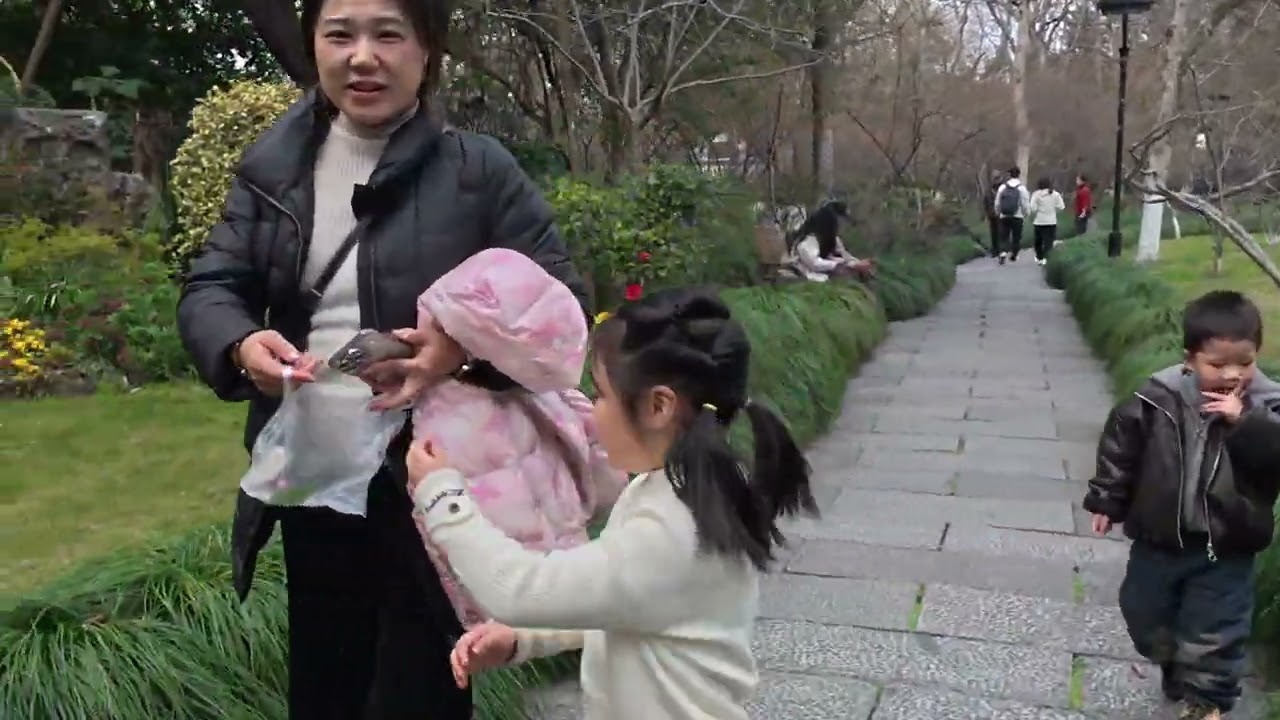 A 10-minute spring walk in a Chinese city