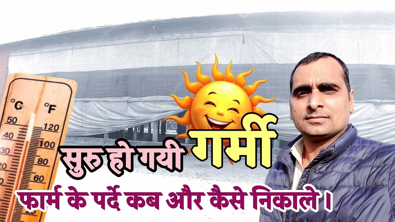 गर्मी शुरू हो गई परदे कब और कैसे खोलें #layer poultry farming #अंडा फार्म 