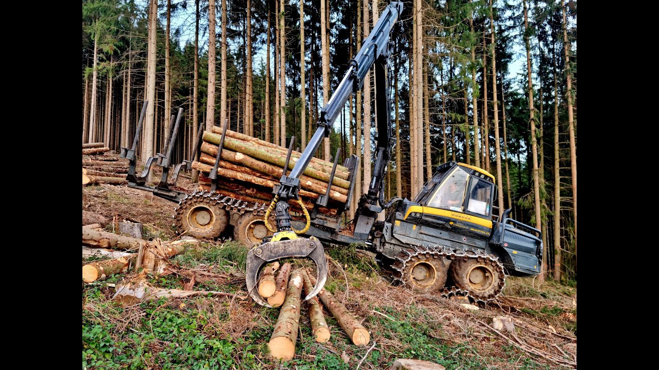 🌲 Ponsse Buffalo • Forwarder in Action • Forstarbeiten • Rückezug im Einsatz • Aarman Puit 🌲