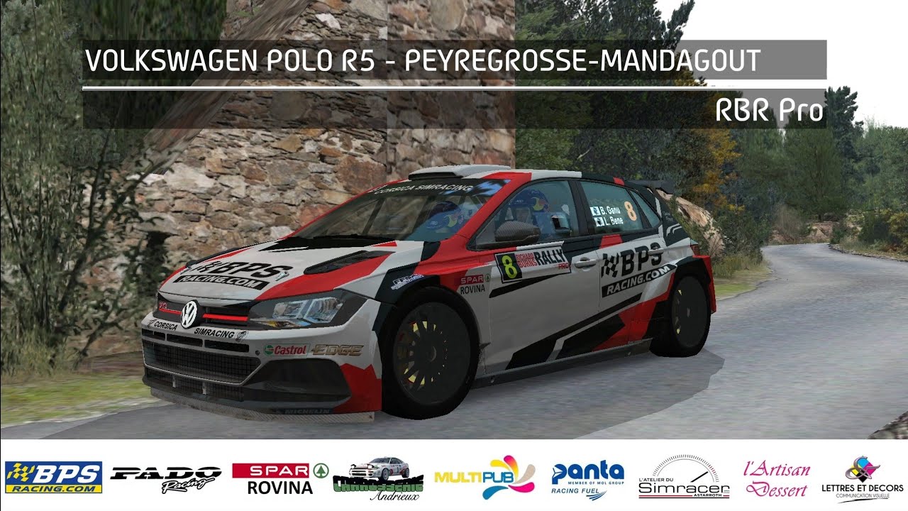 RBR Pro - Volkswagen Polo R5 - Peyregrosse-Mandagout - Nicolay Gryazin's setup