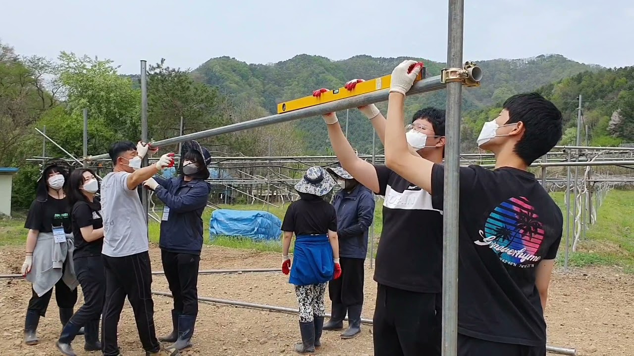 토종다래 재배 실습교육 / 덕시설 설치실습 - 홍천농업고등학교