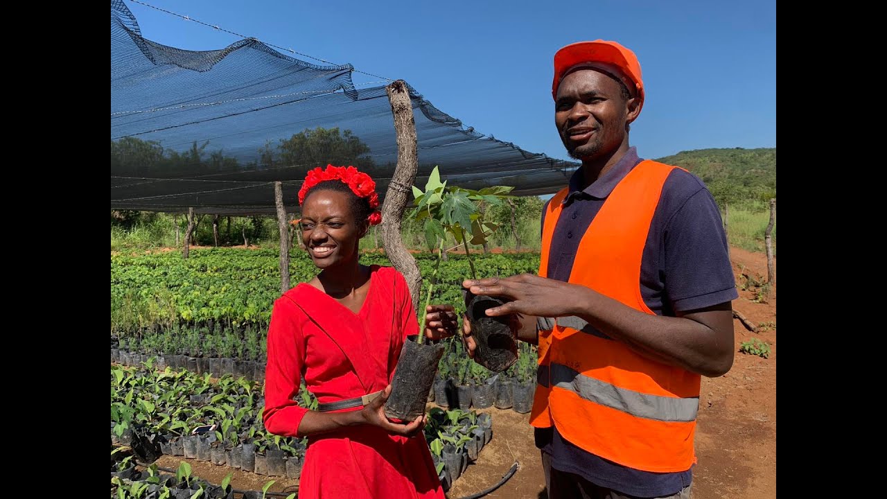 The Garden of Eden in Zambia - Kafue Organic Farm7
