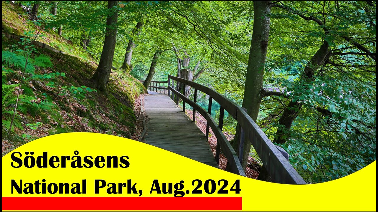 Söderåsens Nationalpark - Skäralid, Skåne, Southern Sweden, Aug. 2024