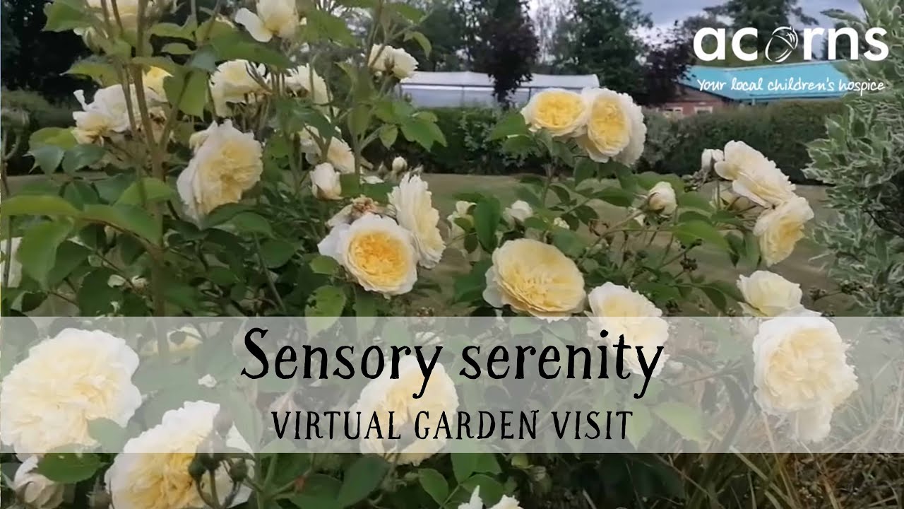 Acorns Children’s Hospice garden, Worcester; sensory serenity