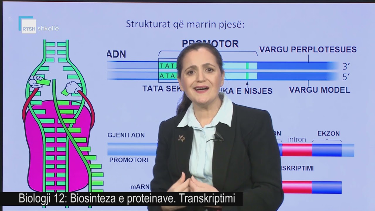 Biologji 12 - Biosinteza e proteinave. Transkriptimi.