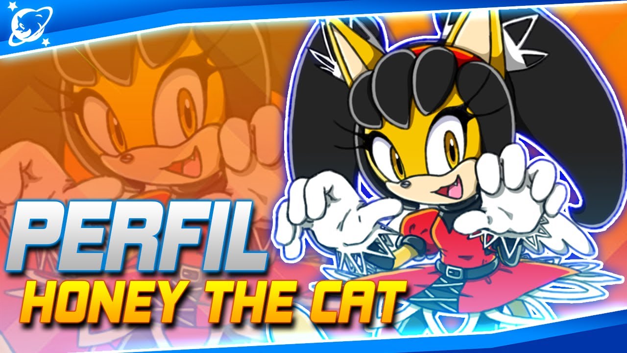 A PERSONAGEM ESQUECIDA DA SÉRIE SONIC | HONEY THE CAT