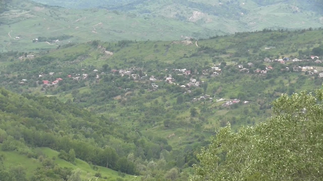 VRANCEA PITOREASCA - POIANA CRISTEI iunie 2023