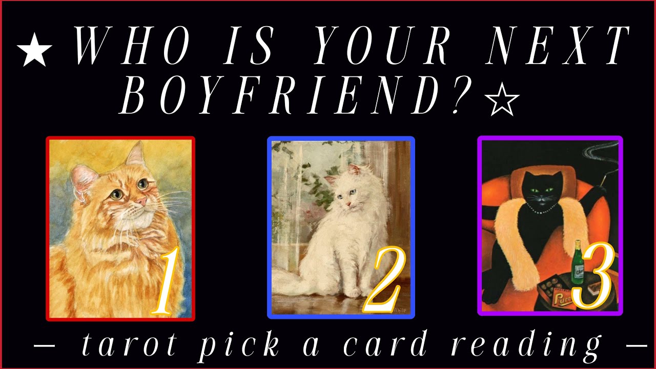 ⭐️🐱WHO IS YOUR NEXT BOYFRIEND?⭐️🐱- TAROT PICK A CARD READING #tarot #tarotcards