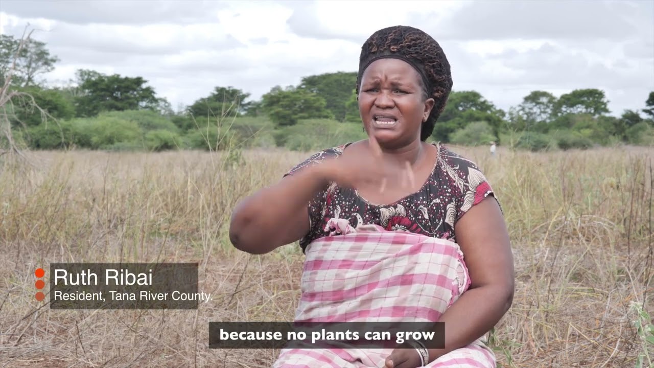 Using drones to boost tree cover and restore degraded land