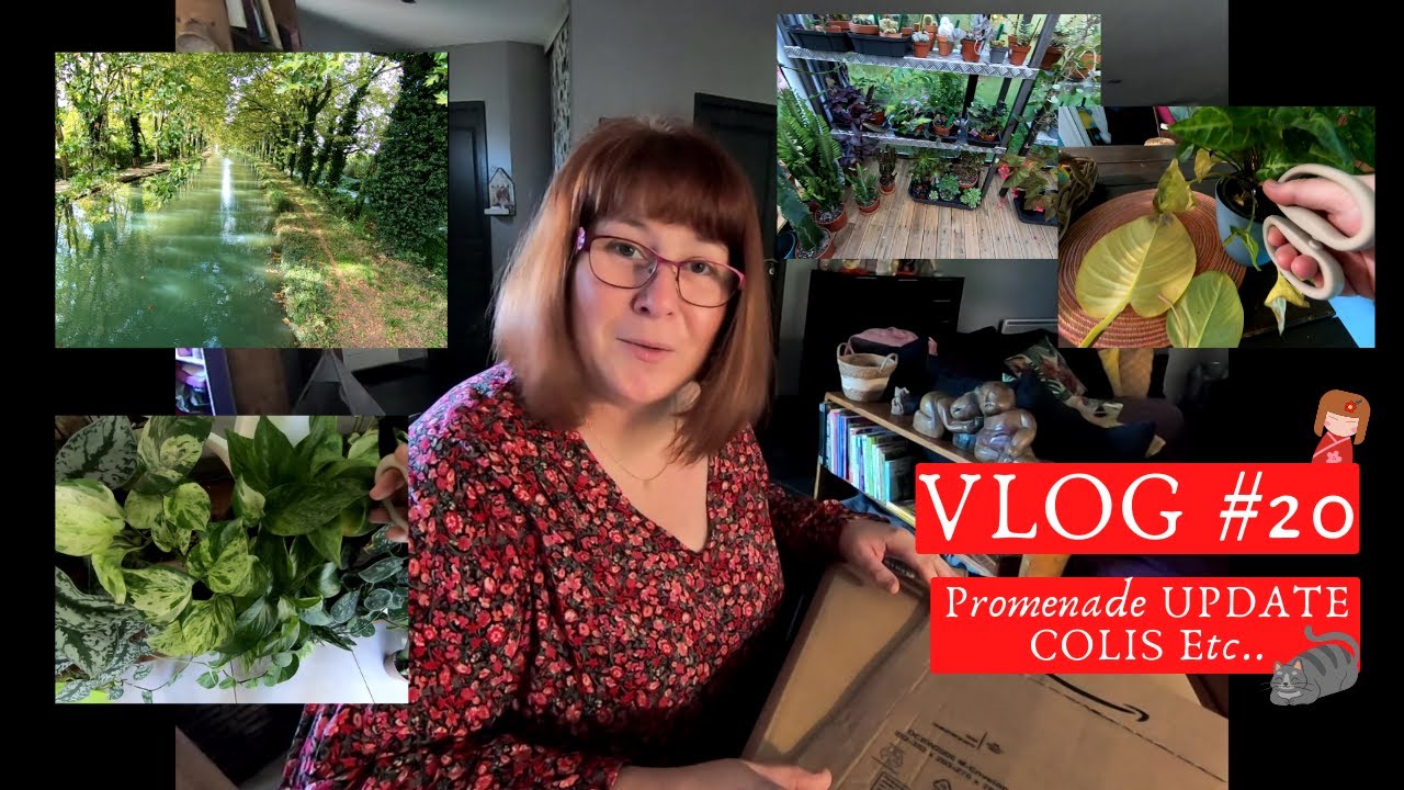 VLOG #20 🌿Jardinerie_  Promenade au canal_ UPDATE LAMPE🌱_ Un COLIS très attendu_ le jardin change🍂🍁