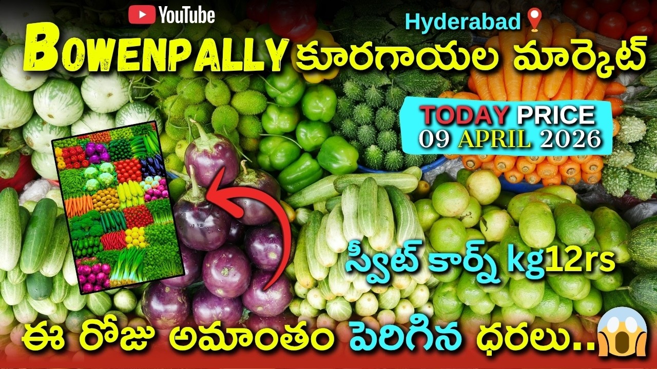 😱 Today Vegetable Prices Update | Tomato, Bendakaya, Munagakaya Rates | Bowenpally vegetable market