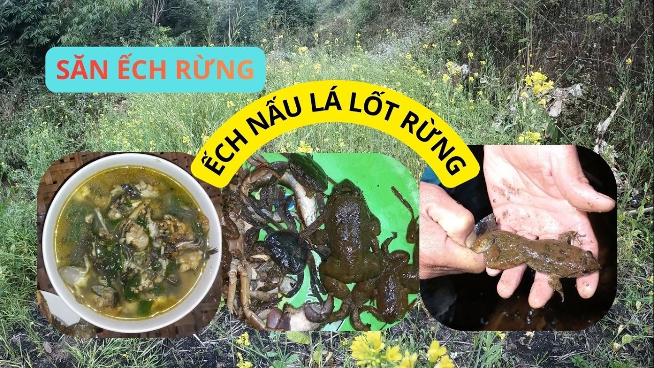 Thành Quả Đi Săn