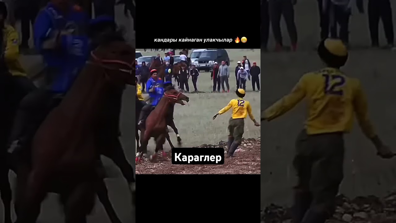 😱😱😱🏇🏇🏇 #horse #арабскиелошади #ot #лошади #дуэт #лошадь #kopkari #лайк #конноеранчо