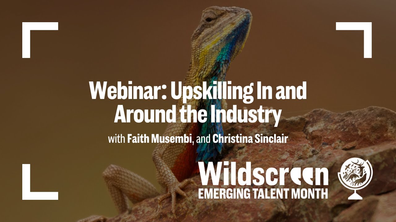 Emerging Talent Month Webinar: Upskilling In and Around the Industry