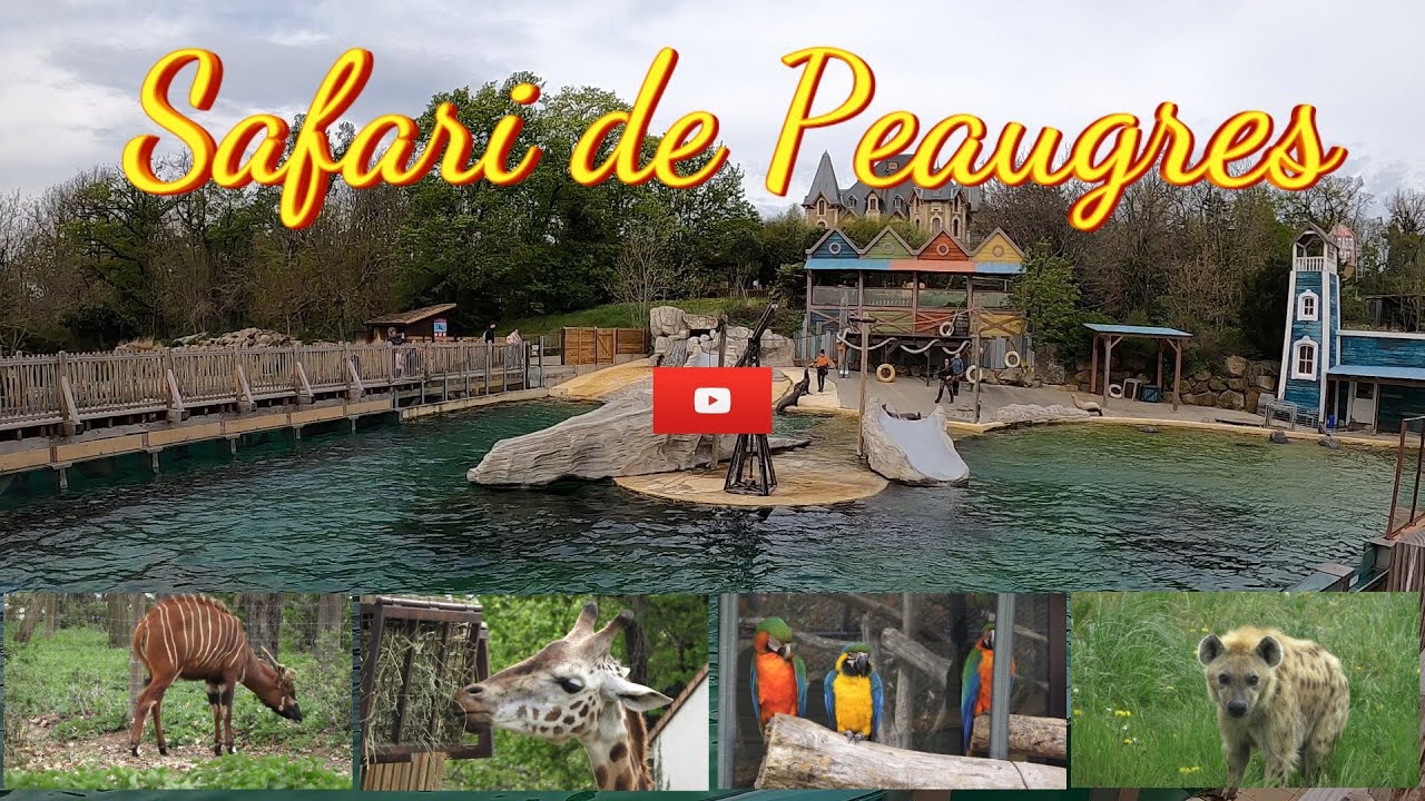 Safari de Peaugres en Ardèche, la visite à pied.