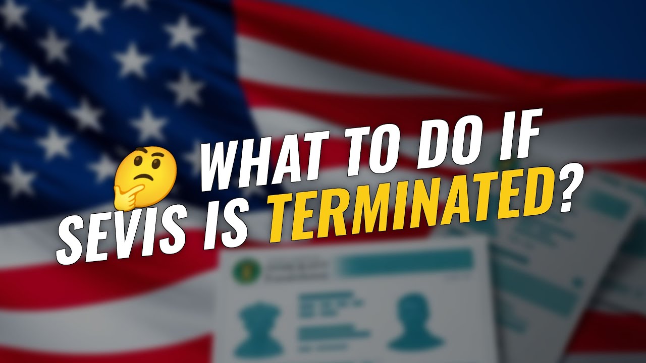 🤔 What Happens to Your I-485 if SEVIS is Terminated?