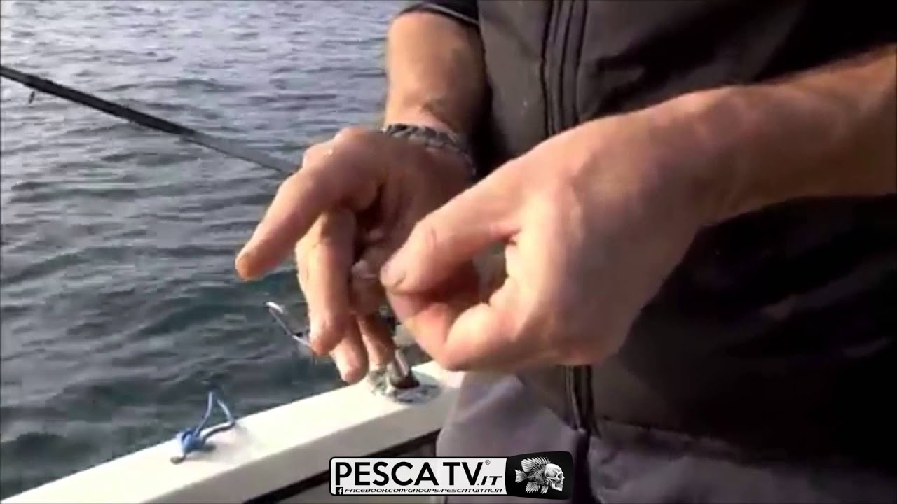 Come PESCARE SGOMBRI e LANZARDI (completo)