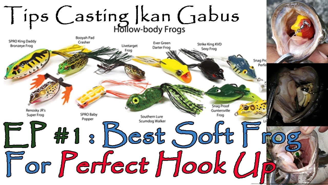 Tips Memilih Soft Frog Lure untuk Casting Ikan Gabus EP #5
