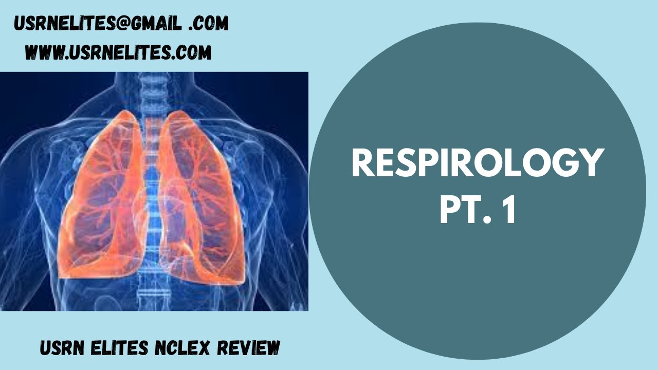 RESPIRATORY SYSTEM PT. 1