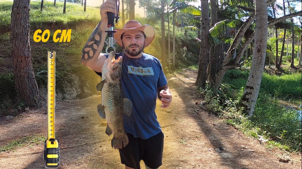 PESQUEI A MAIOR TRAIRA DE TODAS NA LAGOA DO MEU SÍTIO.