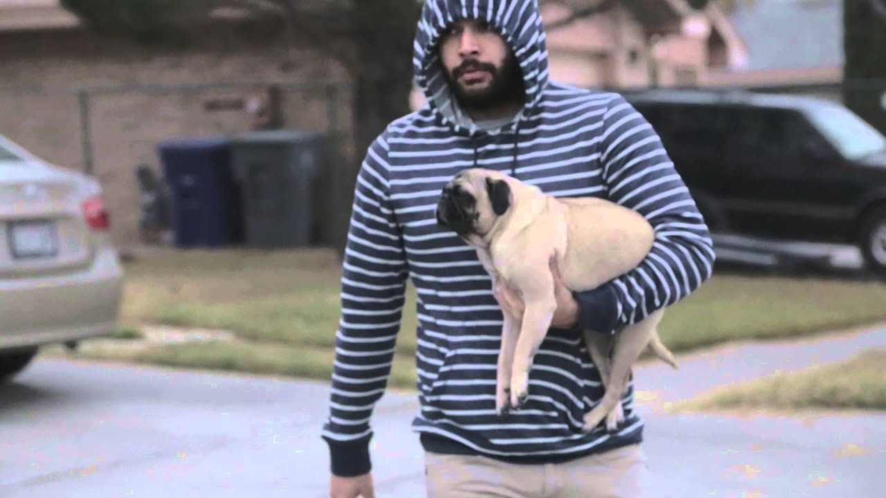 The Three Little Pugs (Short Film)