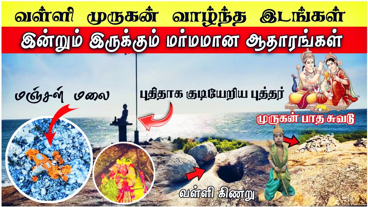 இலங்கையில் முருகன் வள்ளி வாழ்ந்த இடங்கள் | யாரும் அறியாத பல இடங்கள் | Shen Vlogs