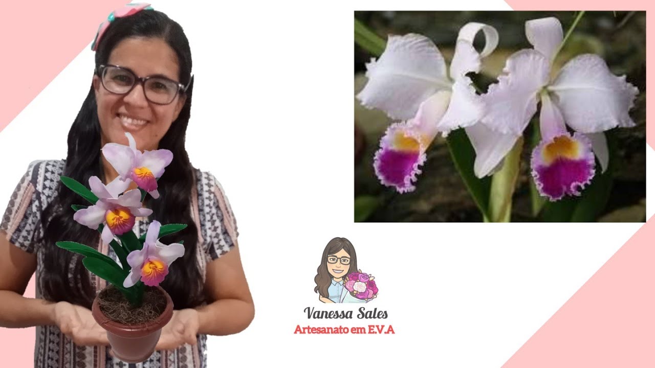 Orquídea Cattleya sem Frisador com Toque Natural