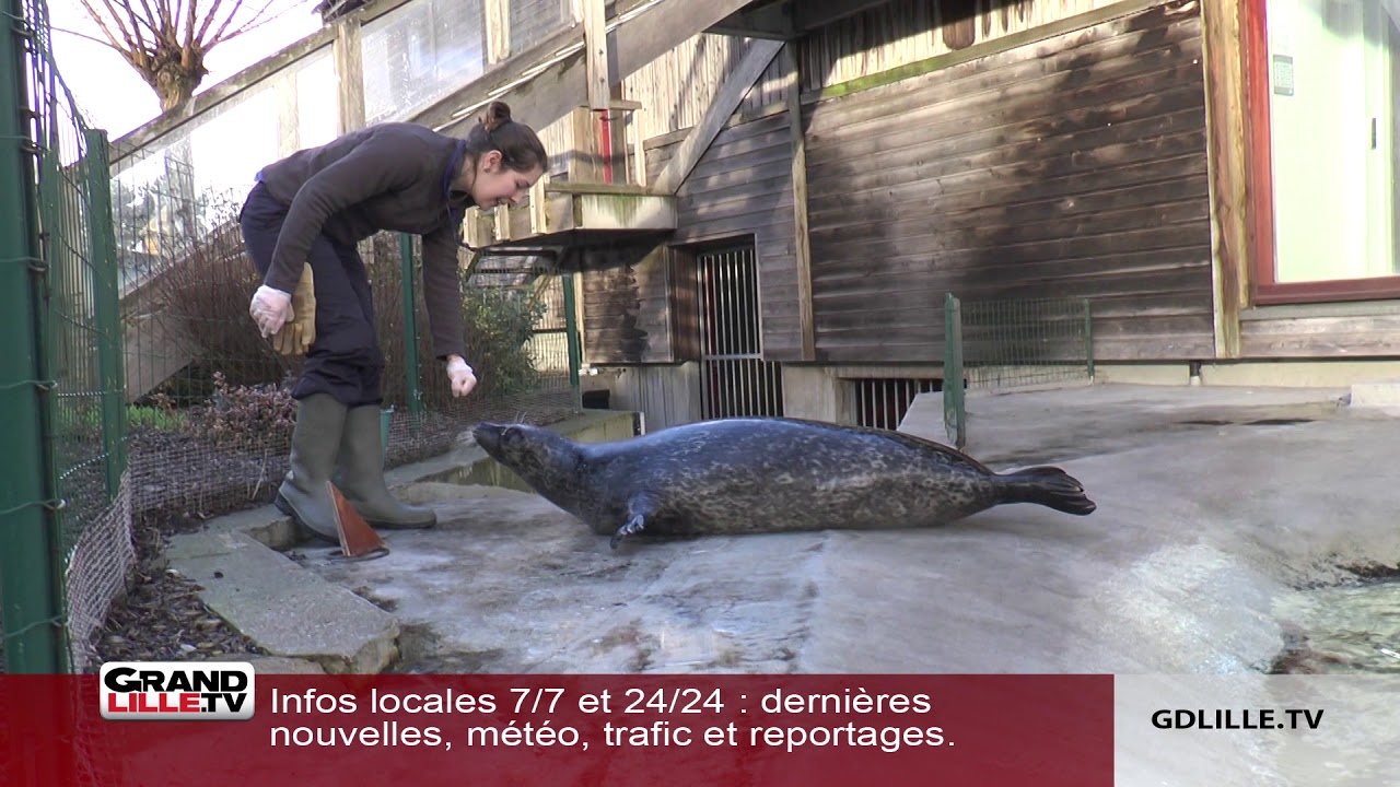 Le zoo de Fort Mardyck