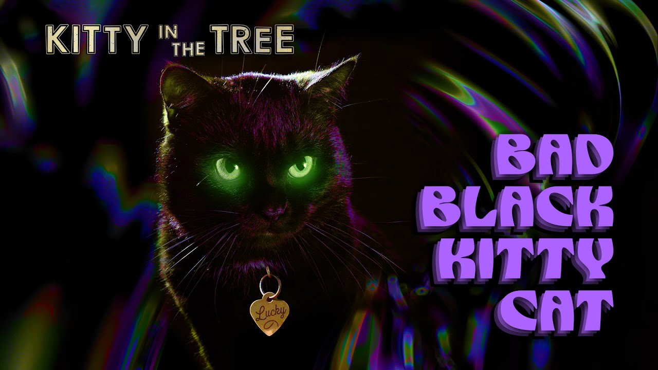 Bad Black Kitty Cat ✨ Kitty in the Tree