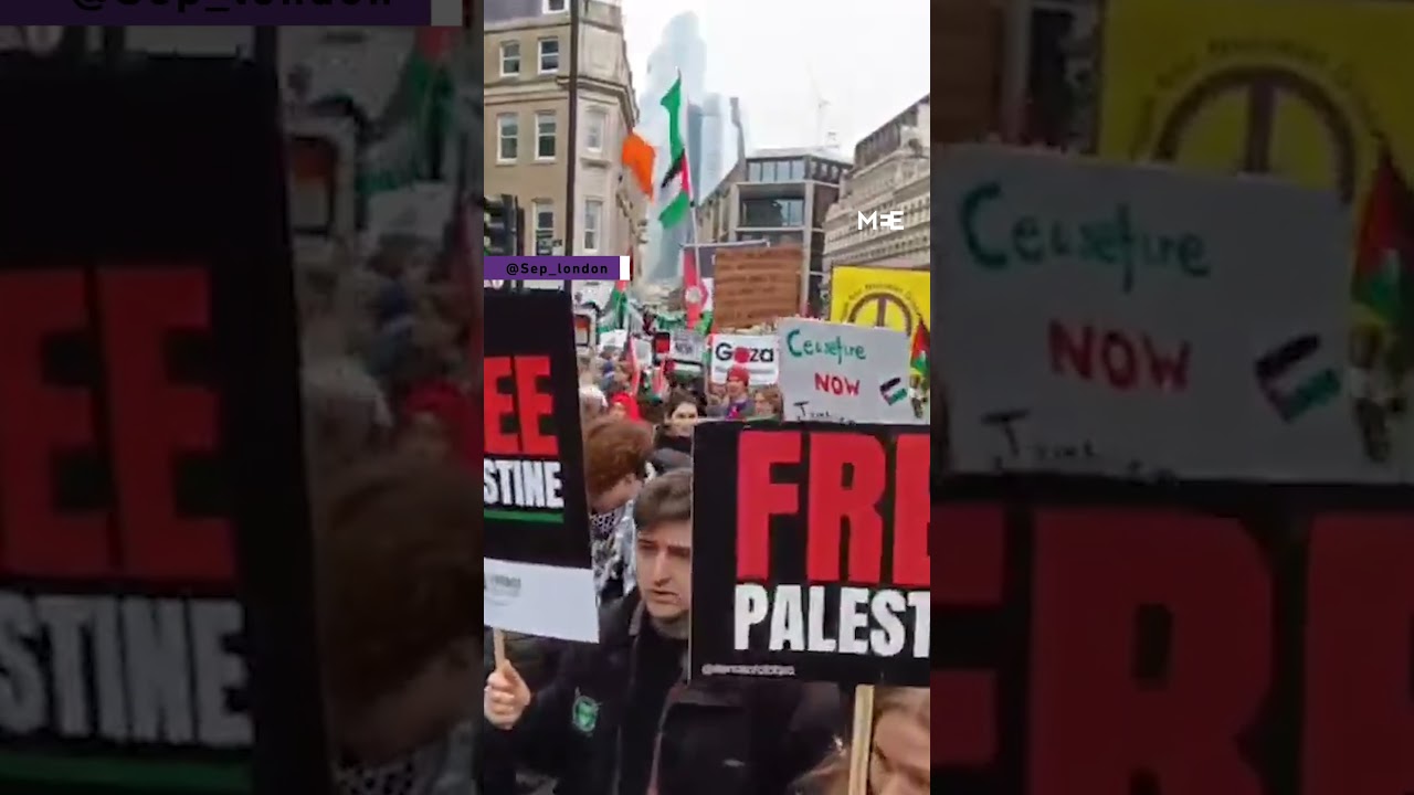 Global day of action: Pro-Palestine protesters march in London