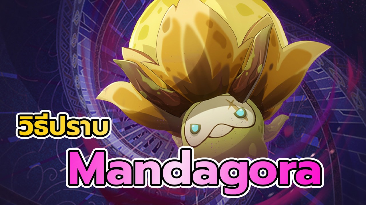 วิธีปราบ Mini Boss Hexadecatonic Mandragora Genshin Impact 1617