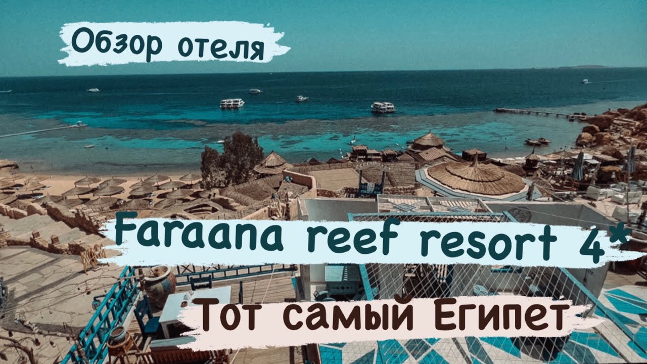 Обзор отеля Faraana reef, Шарм Эль Шейх. Экскурсии в Шарм Эль Шейх
