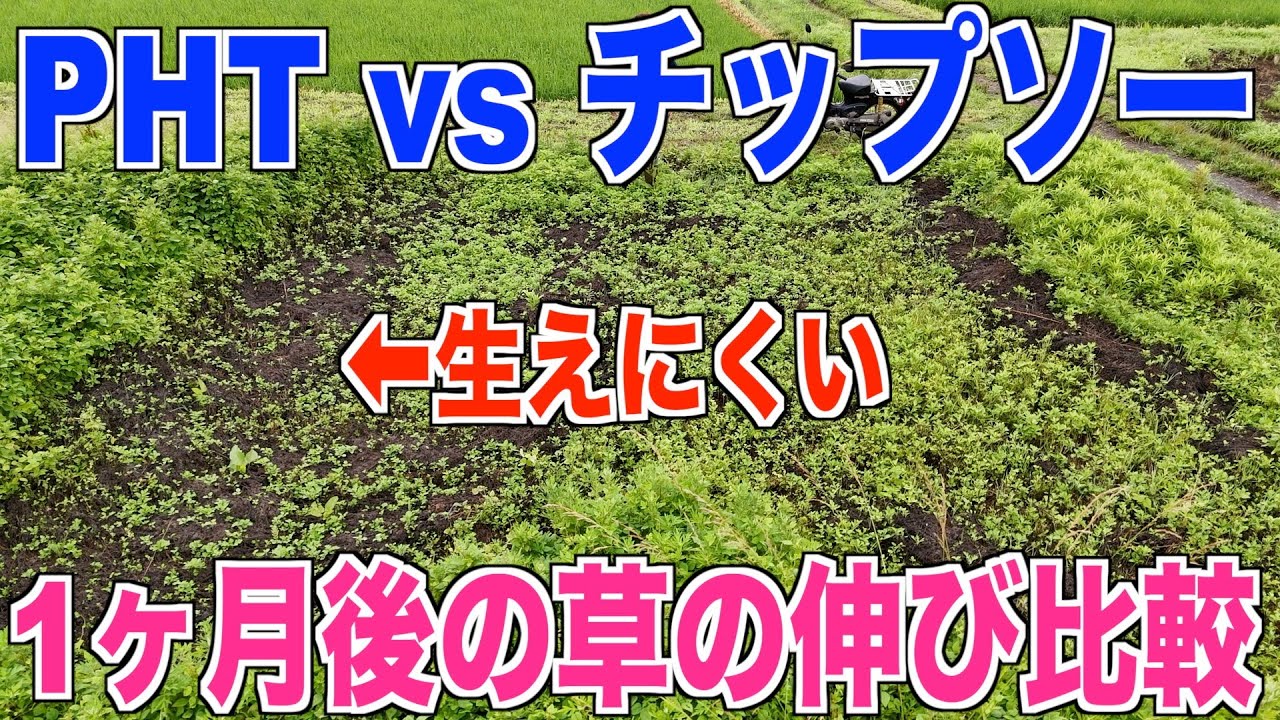 【草刈り】刈った1ヶ月後の草刈り比較マキタポールヘッジトリマーの意外な効果 40代米作り奮闘記#539