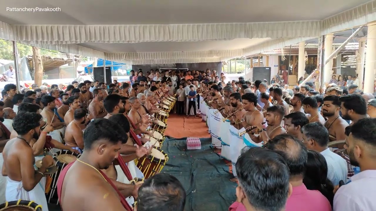 തൃശ്ശൂർ പൂരം മേള പ്രമാണി Kizhakoot Aniyan Marar പഞ്ചാരിമേളം ചിറ്റൂർ Pazhayannur Kavu #kizhakoot