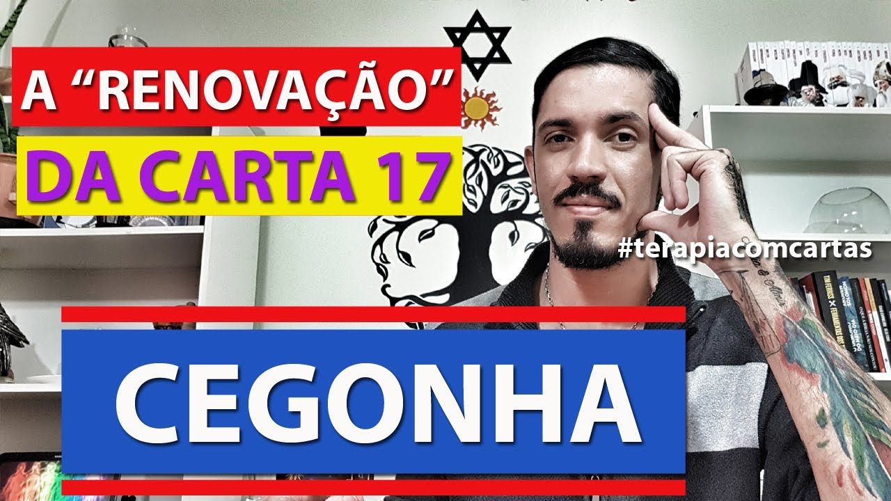 Carta 17: Como ler a carta da CEGONHA do Baralho Cigano? | TERAPIA COM CARTAS