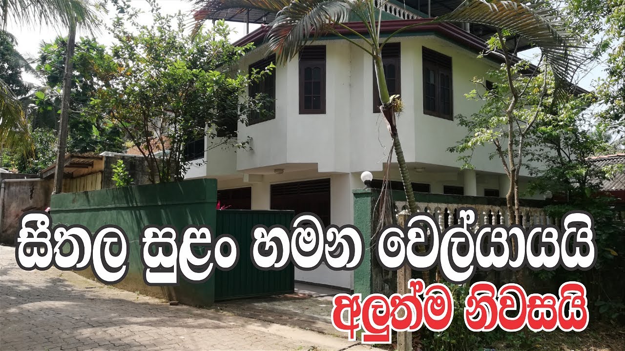 සුන්දර වෙල් යායත් එක්කම ගෙයක් 🇱🇰 | Aduwata Idam |Land Sale in Sri Lanka| @Ape SuduMalli-සුදු මල්ලි ​