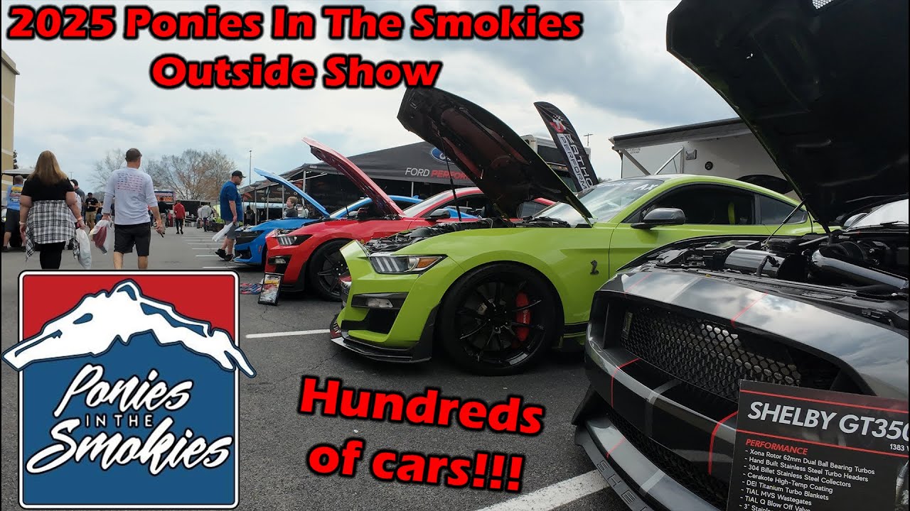 Watch HUNDREDS of Mustangs Come to PITS 2025! (4K)