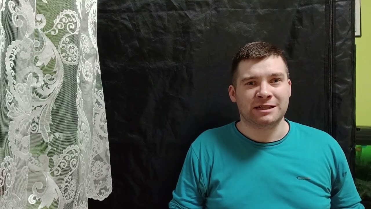 Wysiewamy seler korzeniowy. Uprawa selera od nasionka aż do zbiorów.