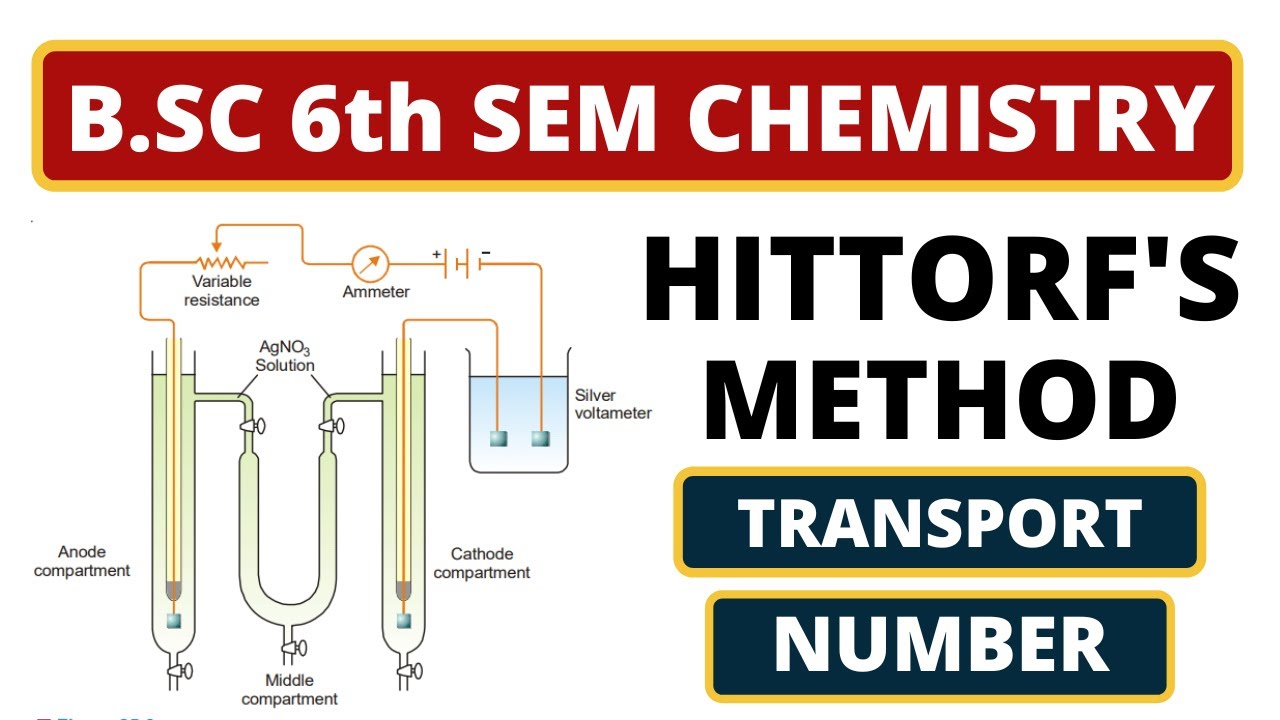 Hittorf's Method | B.SC 6th Sem Chemistry | Electrochemistry | On Finding Transport Number