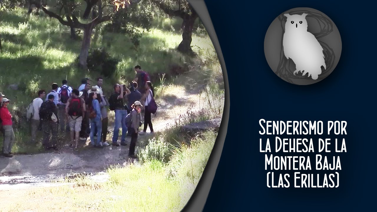 Senderismo por la Dehesa de la Montera Baja (Las Erillas) | Reportajes