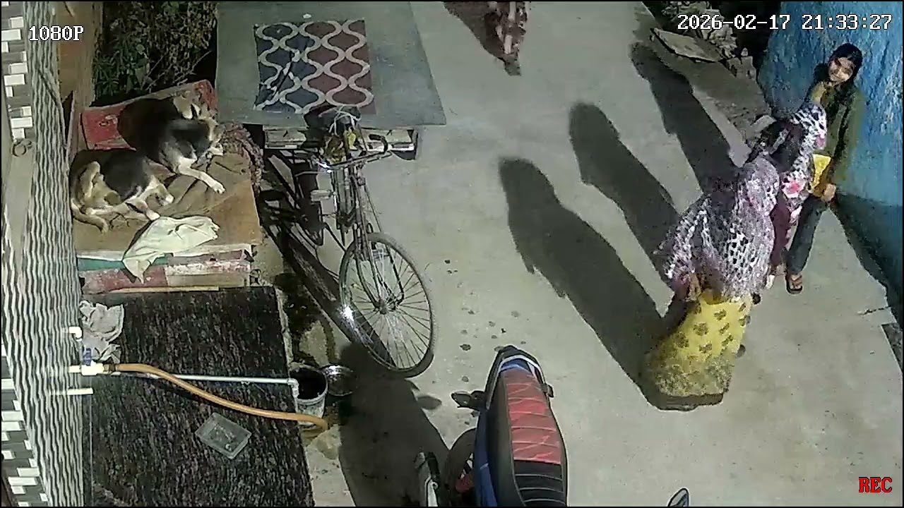 Kaluuuu