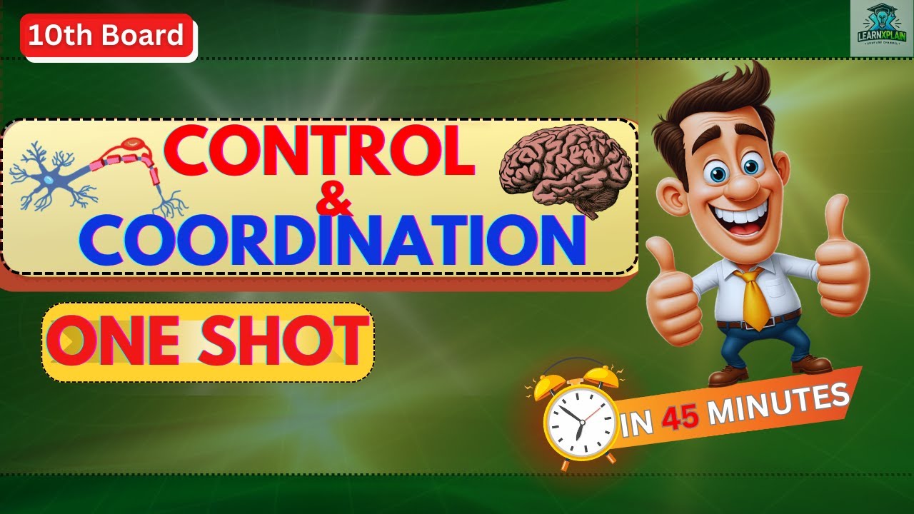 control & coordination IN 45 MINUTES II ONE SHOT - FULL CHAPTER II Class10th board.